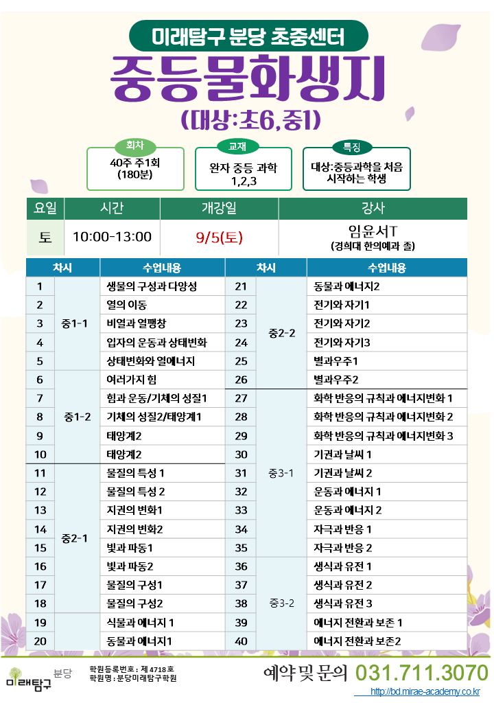 팝업